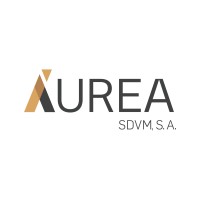 Áurea SDVM Reverte Prejuízo e Lucra 2,6 Mil Milhões Kz em 2024