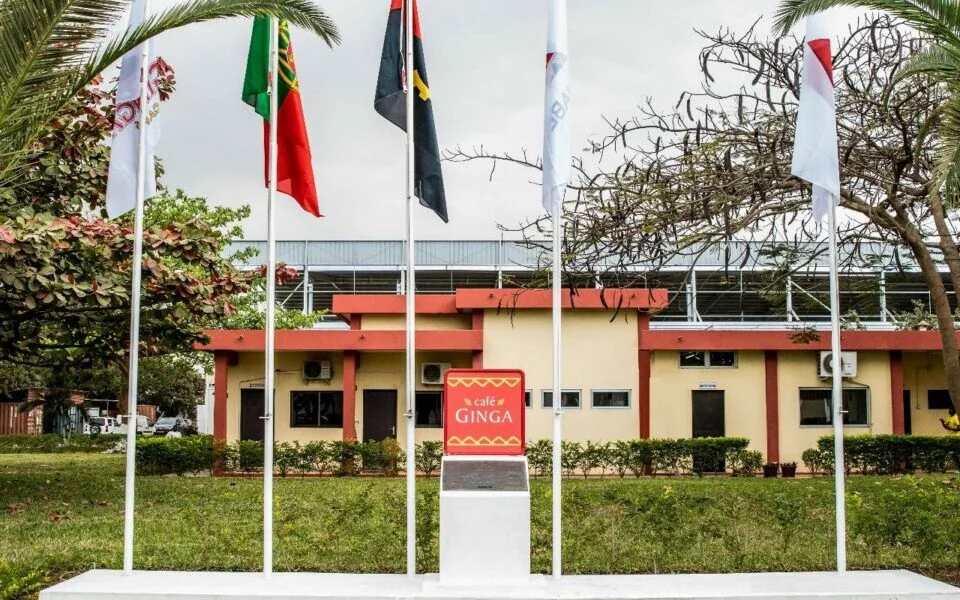 Angonabeiro fecha 2025 com crescimento de 13,3% e reforça papel no desenvolvimento do café angolano